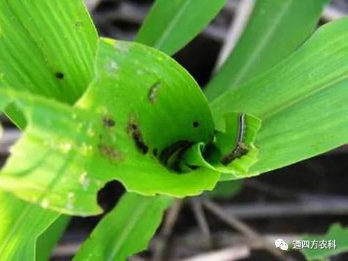 ���הQ����ô�k����ץ�o��Q��(hu��)Ӱ푮a(ch��n)��!!!