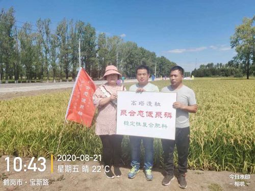 ͨ�ķ��r(n��ng)�Ƹ����;��׏�(f��)�Ϸ���ˮ���ϵ�Ч�����F(xi��n)