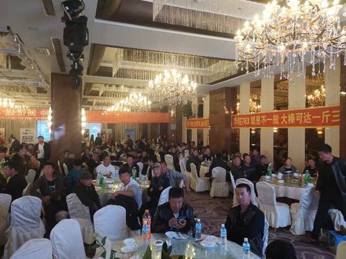 �Nֲ���ӆ؛��(hu��)