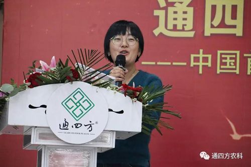 �|��ʡ�I�����ļ��r�Y���޹�˾&mdash;&mdash;����