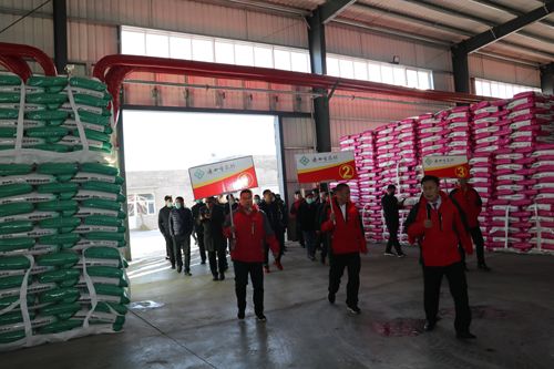 筑夢峰會核心客戶參觀通四方農(nóng)科成品庫 筑夢峰會核心客戶參觀通四方農(nóng)科成品庫